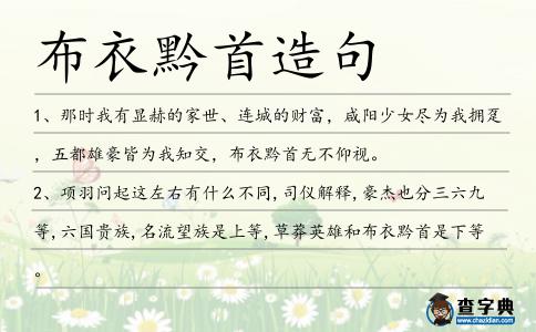 布衣黔首造句