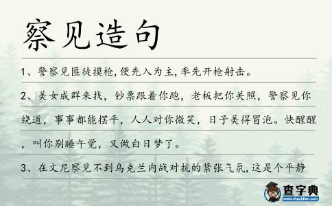 察見造句