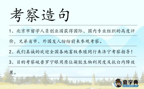 考察造句