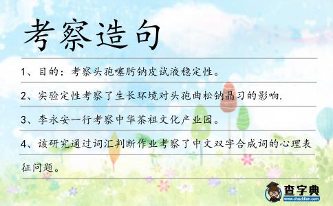考察造句