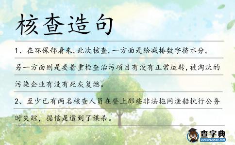 核查造句