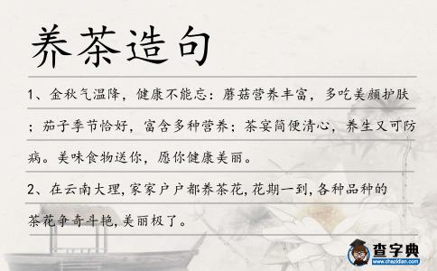 養(yǎng)茶造句