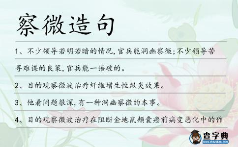 察微造句