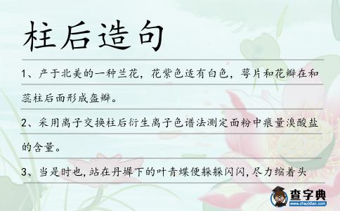 柱后造句