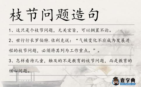 枝節(jié)問(wèn)題造句
