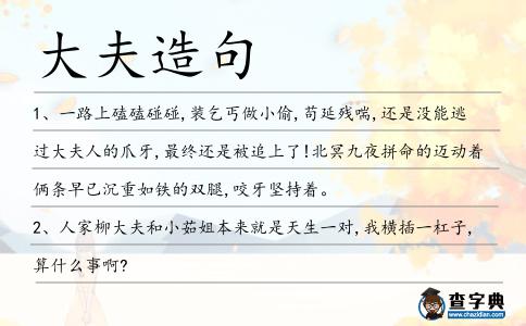 大夫造句