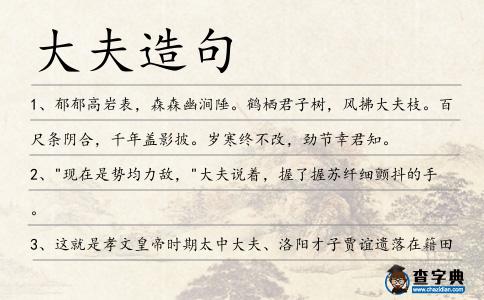 大夫造句