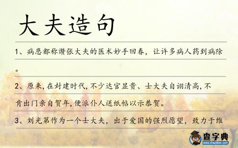 大夫造句