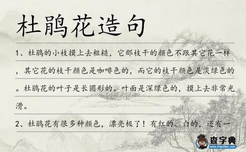 杜鵑花造句