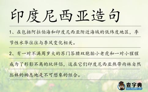 印度尼西亞造句