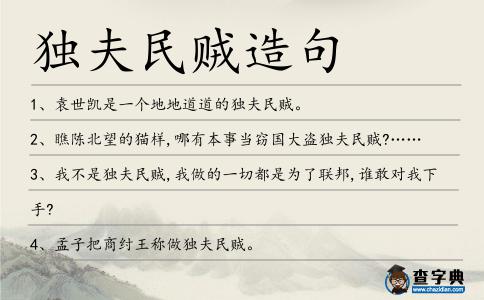 獨夫民賊造句