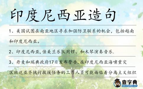 印度尼西亞造句