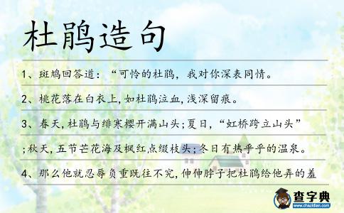 杜鵑造句