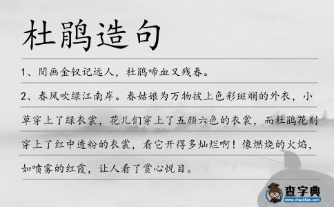 杜鵑造句