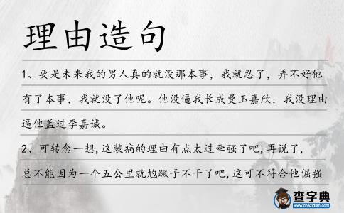 理由造句