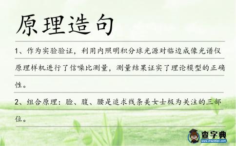 原理造句
