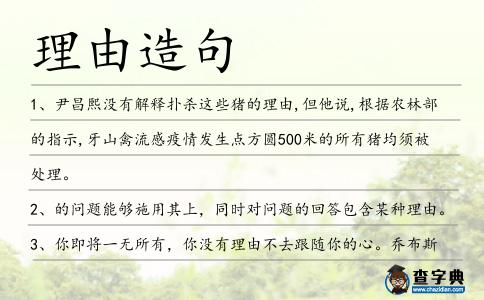 理由造句