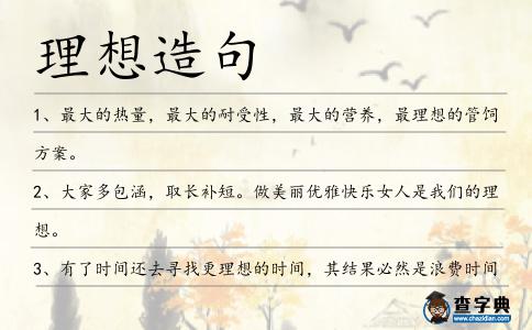 理想造句