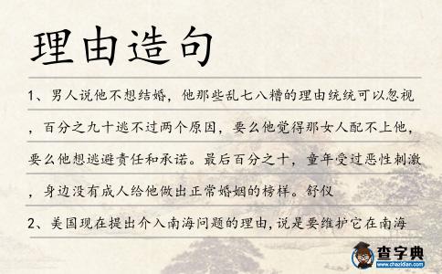 理由造句