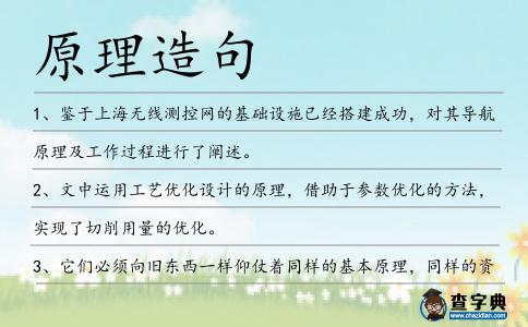 原理造句