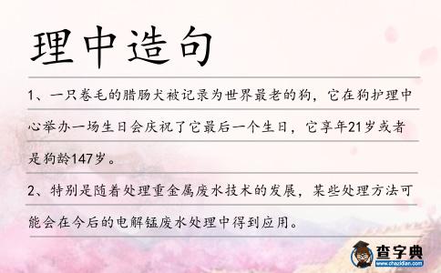 理中造句