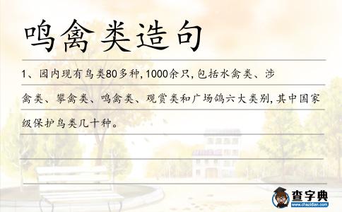 涉禽類造句