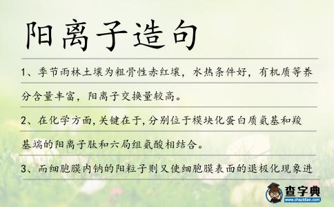陽離子造句