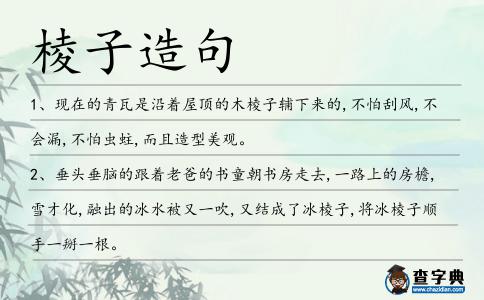 棱子造句