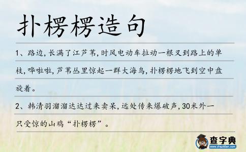 撲楞楞造句