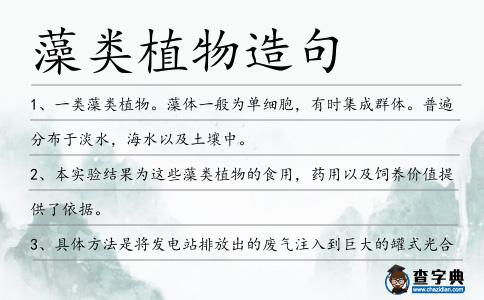 藻類植物造句