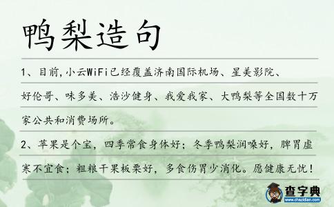 鴨梨造句
