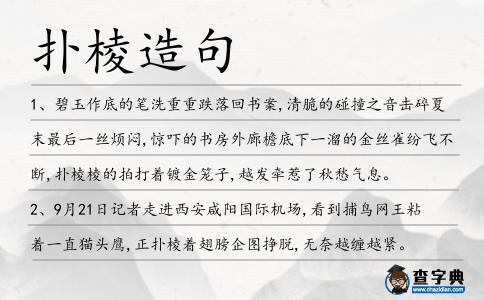 撲棱造句