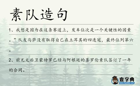 素隊造句
