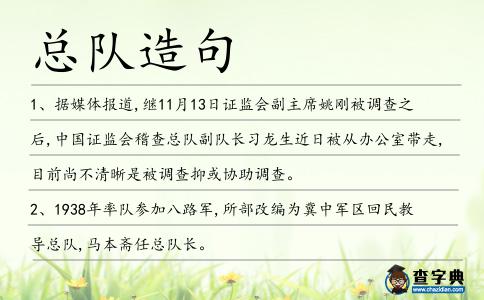 總隊造句
