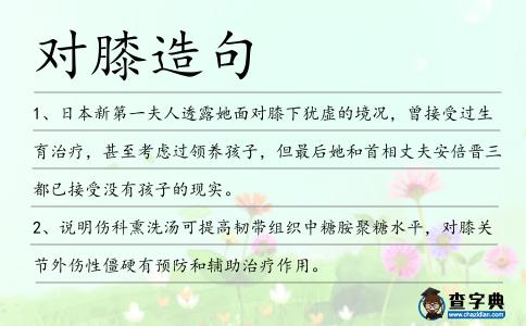 對膝造句