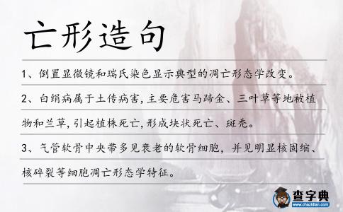 亡形造句