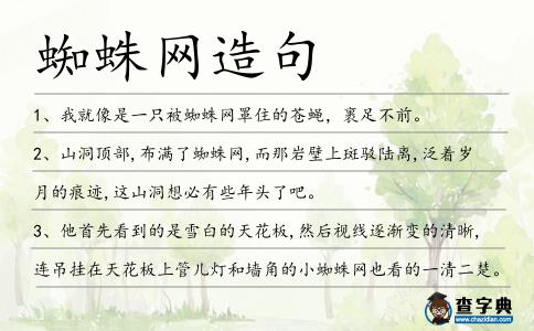 蜘蛛網(wǎng)造句