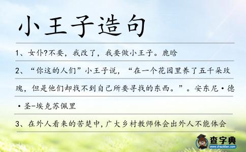 小王子造句