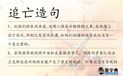 追亡造句