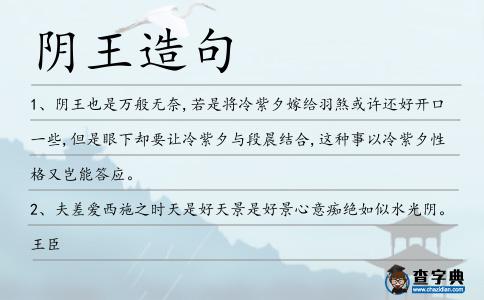 陰王造句