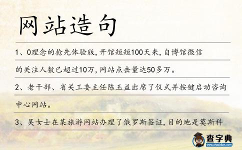 網(wǎng)站造句