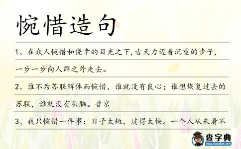 惋惜造句