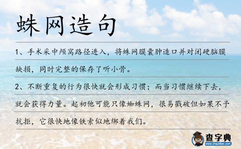 蛛網造句