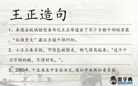 王正造句
