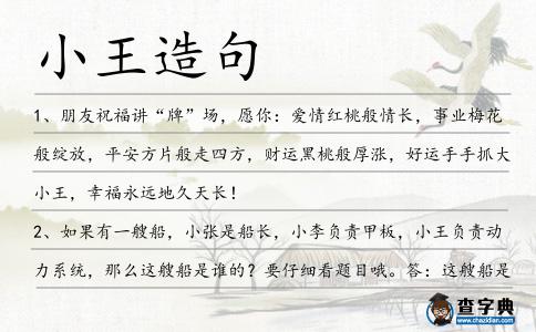 小王造句