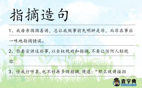 指摘造句