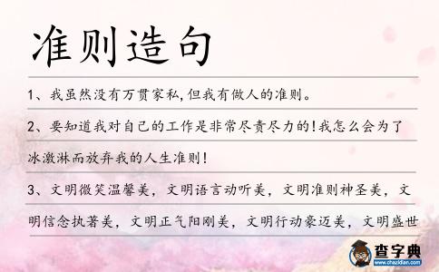 準(zhǔn)則造句
