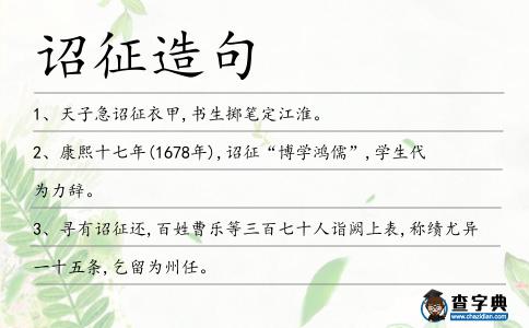 詔征造句