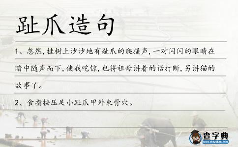 趾爪造句