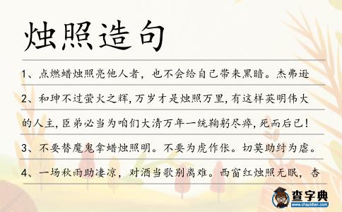 燭照造句